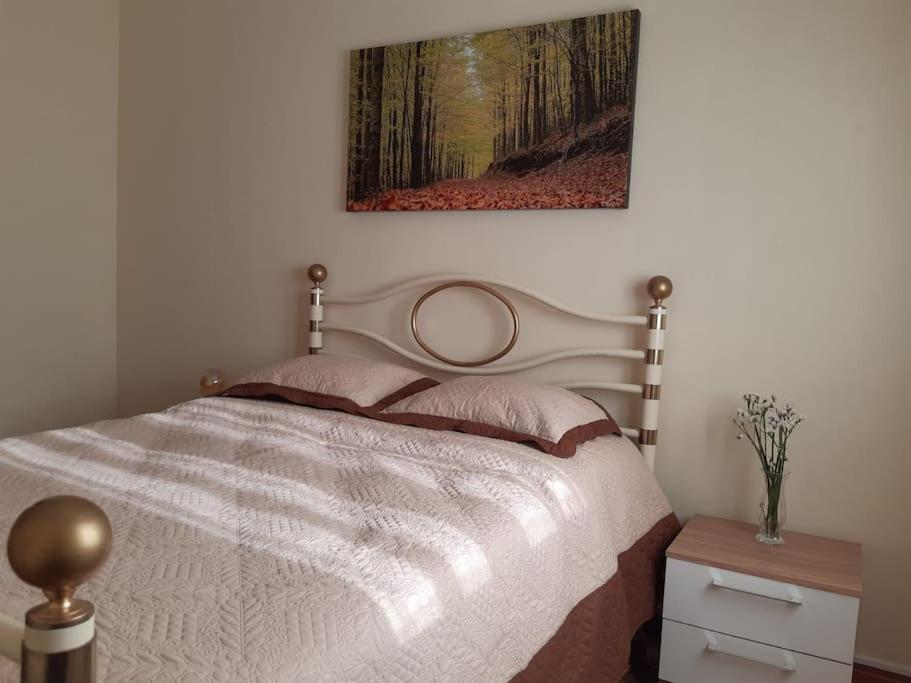 Apartment Moradia Felix - Felix Manteigas